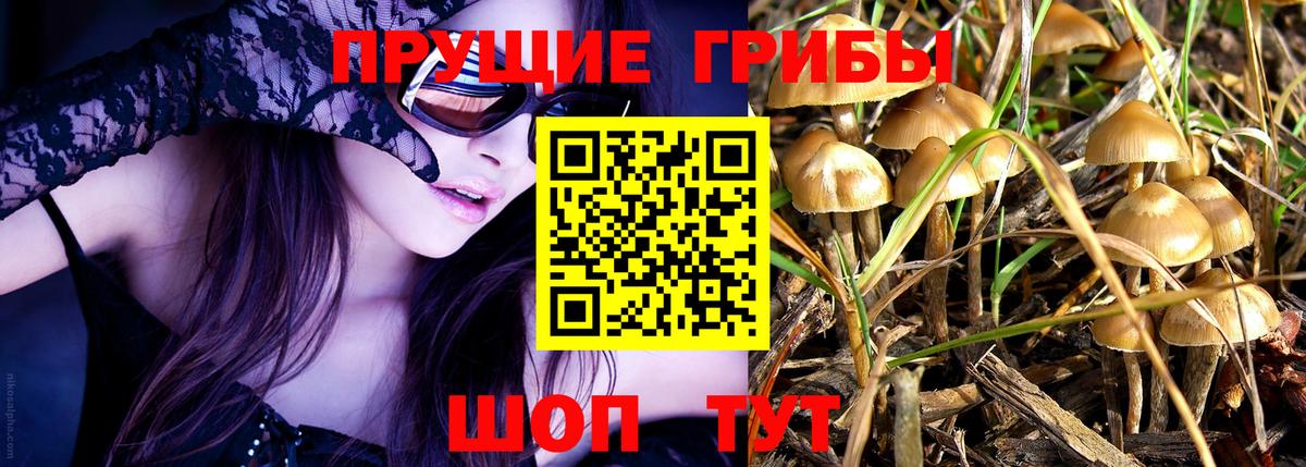 Псилоцибиновые грибы MAGIC MUSHROOMS Канаш