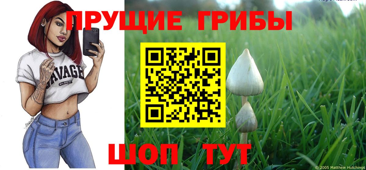 Галлюциногенные грибы мицелий  Вход с VPN  Канаш 