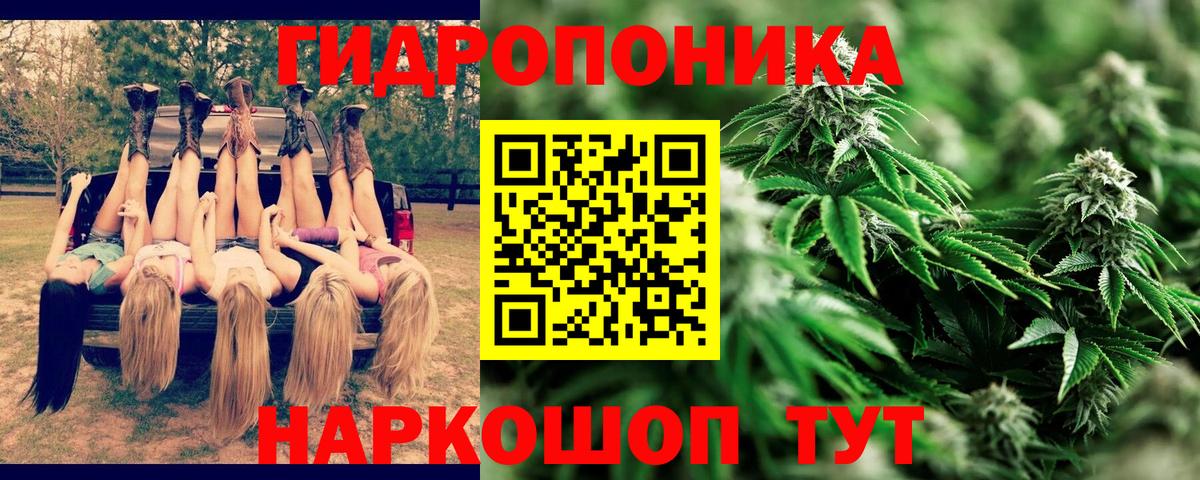 Канаш  Конопля гибрид  Шишки марихуана AK-47  Вход с VPN  Канабис MAZAR 